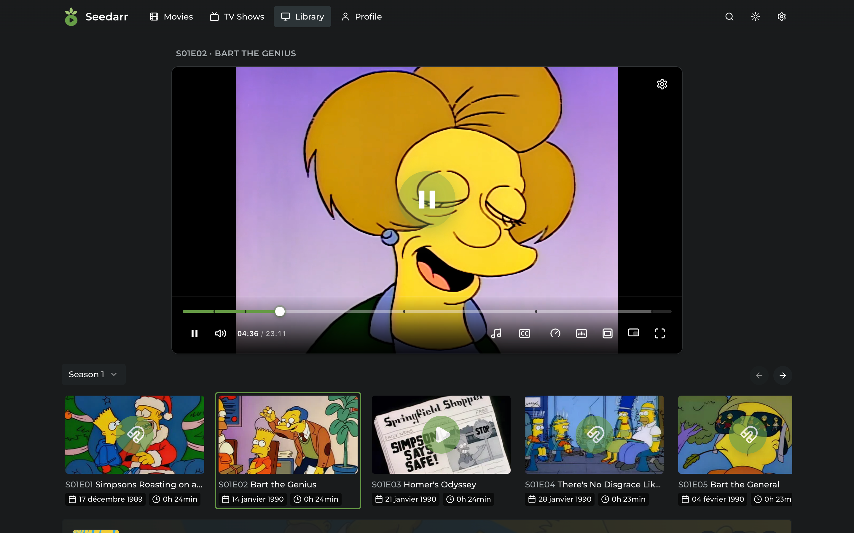 Seedarr series player with episode carousel